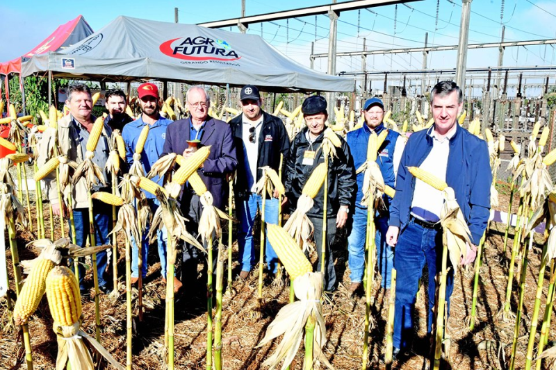 Dia de Campo atrai estudantes e agricultores da região