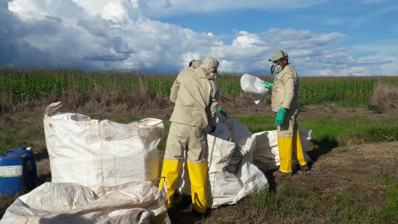 Dia do Campo Limpo será realizado de 27 a 31 de maio no interior