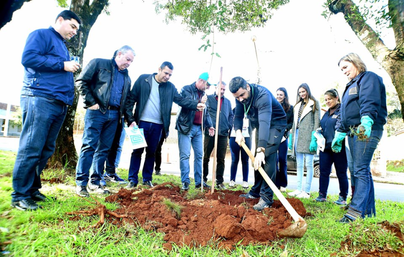 Ação ambiental planta 80 árvores em avenidas da cidade