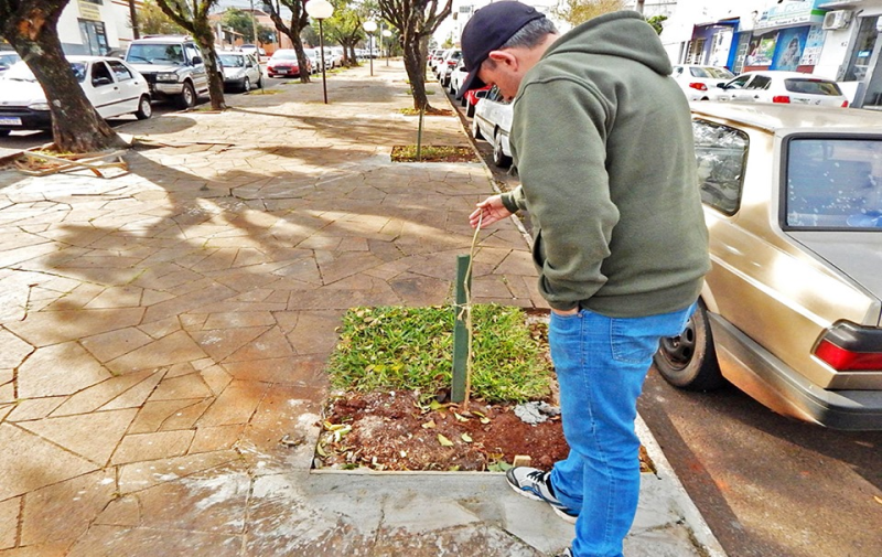 Ação ambiental é alvo de vândalos