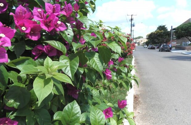 Avenida 28 de Dezembro
