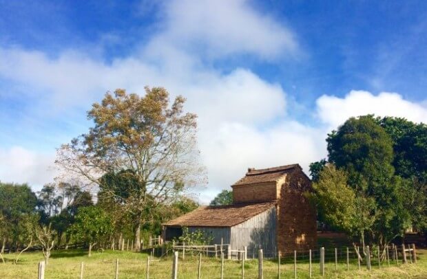 Estufa da tabaco na RS-350