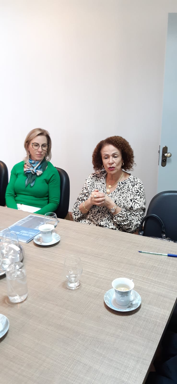 LEGISLATIVO RECEBE VISITA DA PRESIDENTE DO TRIBUNAL DE JUSTIÇA DO RIO GRANDE DO SUL