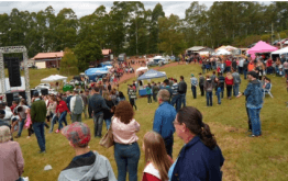 31ª FESTA DO FUMO E VIII AGRIFEST