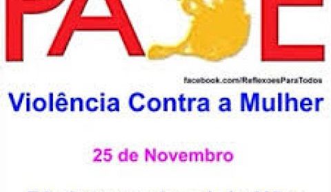 DIA INTERNACIONAL DE COMBATE A VIOLÊNCIA CONTRA A MULHER