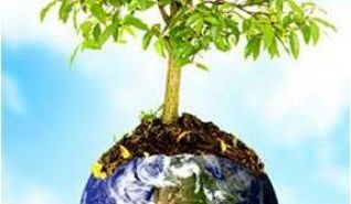 I CONFERÊNCIA MUNICIPAL DO MEIO AMBIENTE/RESÍDUOS SÓLIDOS