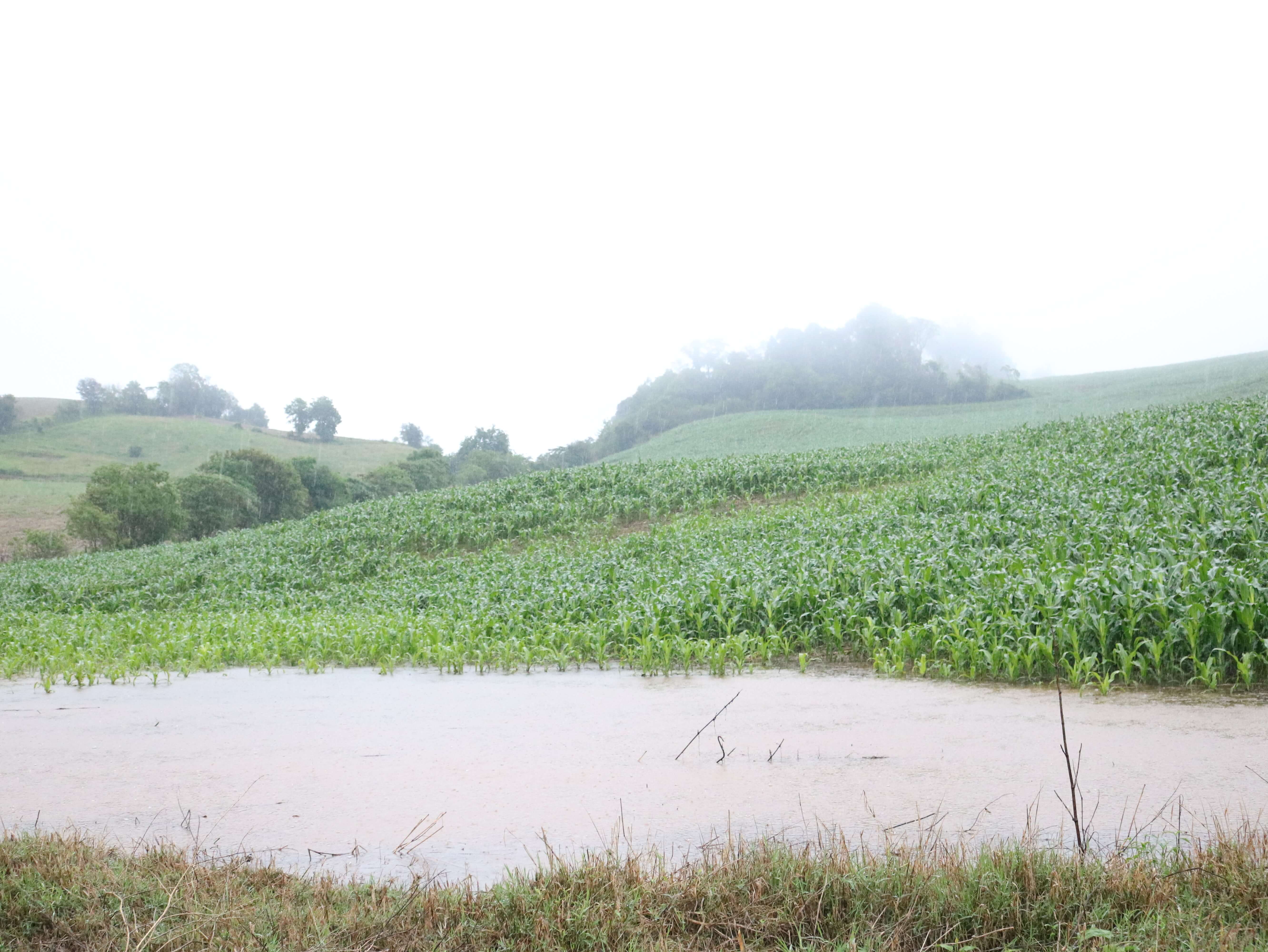FORTES CHUVAS CAUSAM ESTRAGOS EM NOVO TIRADENTES