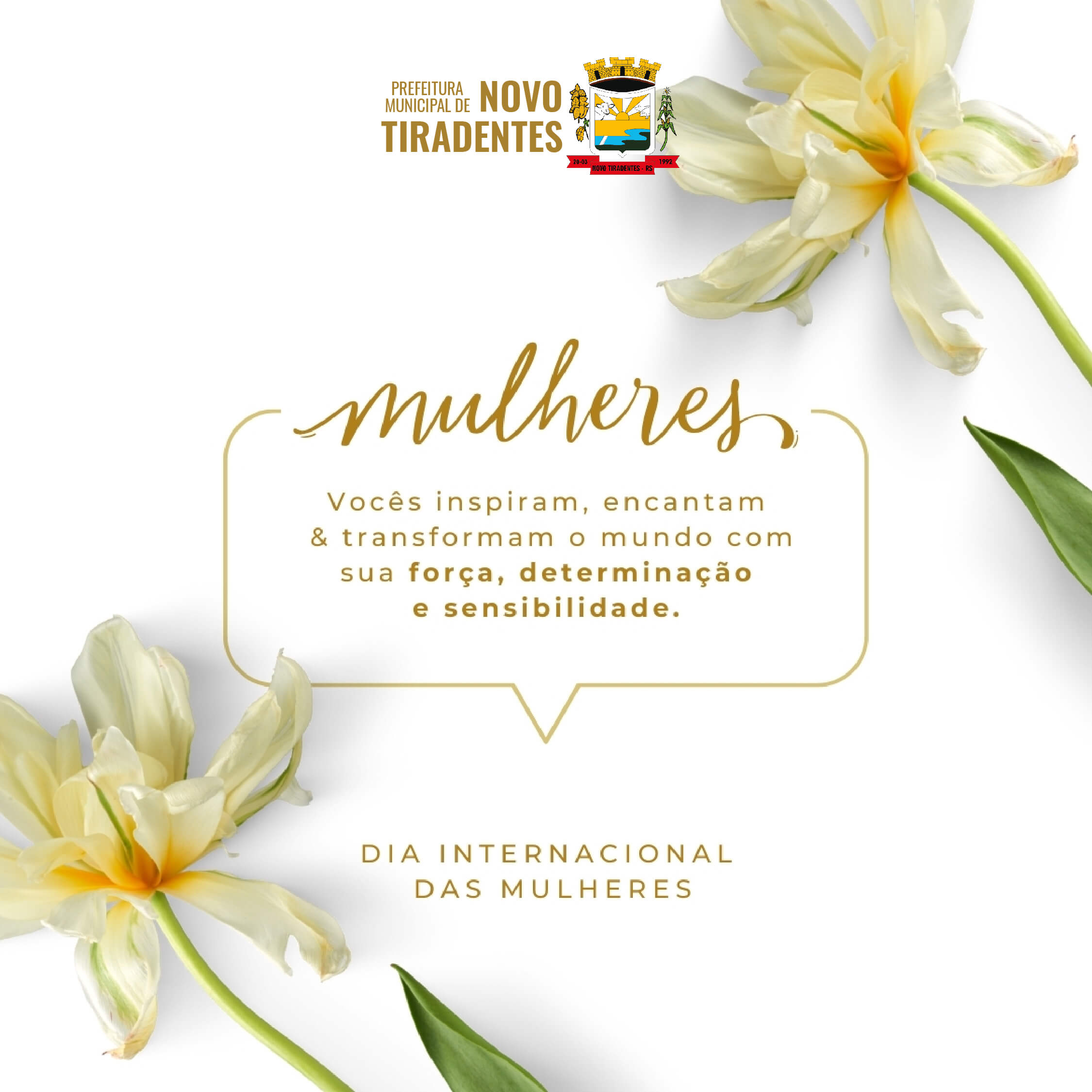 08 DE MARÇO: DIA INTERNACIONAL DA MULHER