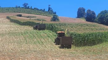 <p><strong><span style="font-family: verdana, geneva, sans-serif; font-size: 12pt;">SECRETARIA DE AGRICULTURA APOIA PRODUTORES NA PRODU&Ccedil;&Atilde;O DE SILAGEM</span></strong></p>