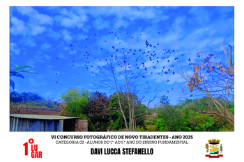 <p><span style="font-family: verdana, geneva, sans-serif; font-size: 12pt;"><strong>CATEGORIA II DO VI CONCURSO FOTOGR&Aacute;FICO DE NOVO TIRADENTES TEM SEUS VENCEDORES DIVULGADOS</strong></span></p>