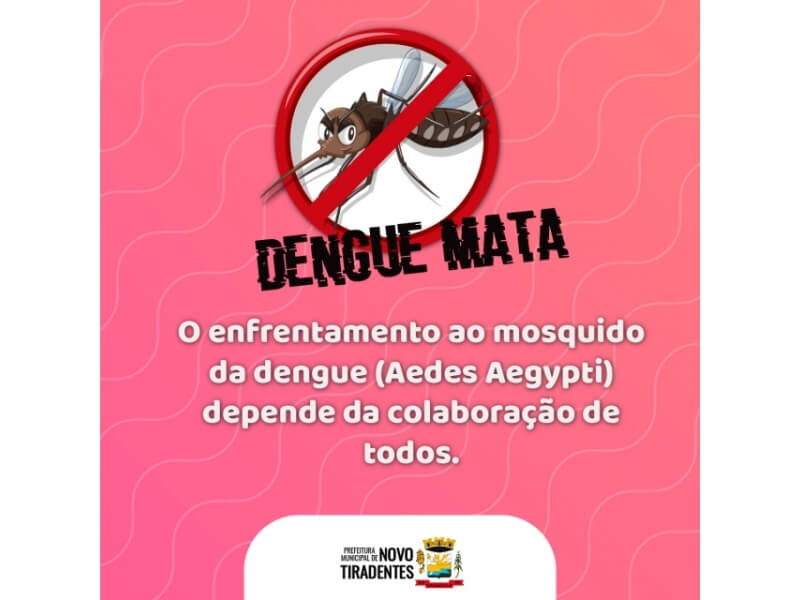 CONSCIENTIZAÇÃO E PREVENÇÃO SÃO FUNDAMENTAIS NO COMBATE AO MOSQUITO AEDES AEGYPTI
