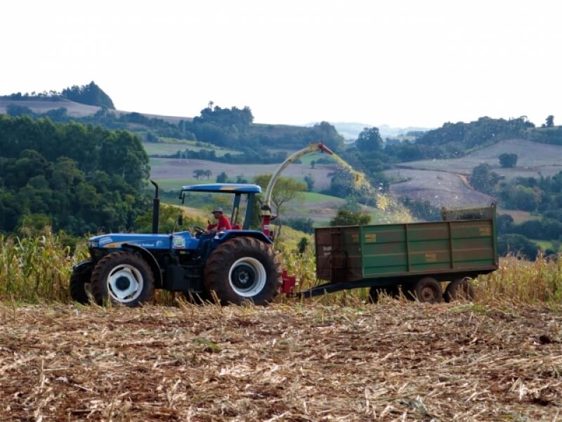 PREFEITURA DE NOVO TIRADENTES AUXILIA PRODUTORES NA PRODUÇÃO DE SILAGEM