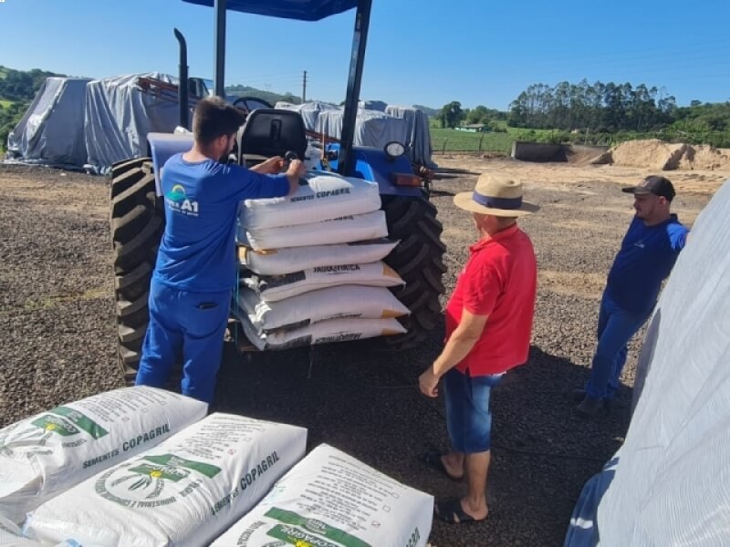 PREFEITURA DE NOVO TIRADENTES DISPONIBILIZA SEMENTES SUBSIDIADAS DE FORRAGEIRAS DE INVERNO
