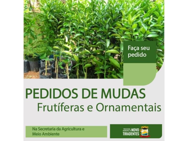 SECRETARIA DA AGRICULTURA E MEIO AMBIENTE ESTÁ REALIZANDO PEDIDOS DE MUDAS DE ÁRVORES FRUTÍFERAS E ORNAMENTAIS
