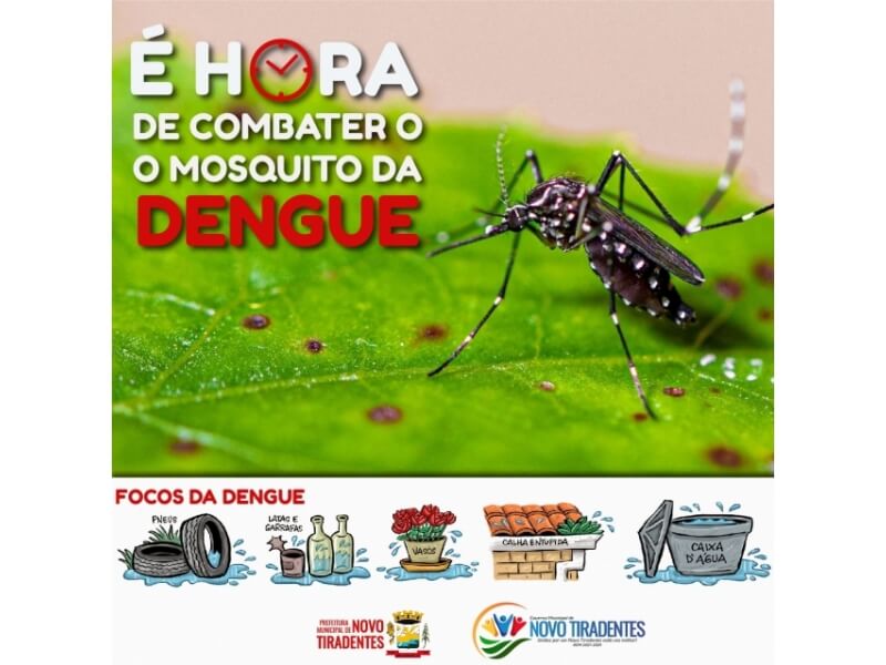 HORA DE COMBATER O MOSQUITO DA DENGUE