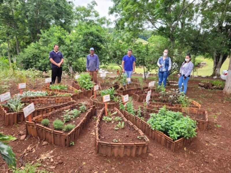PROJETO COM PLANTAS BIOATIVAS DESENVOLVIDO EM NOVO TIRADENTES GANHA ENFOQUE REGIONAL