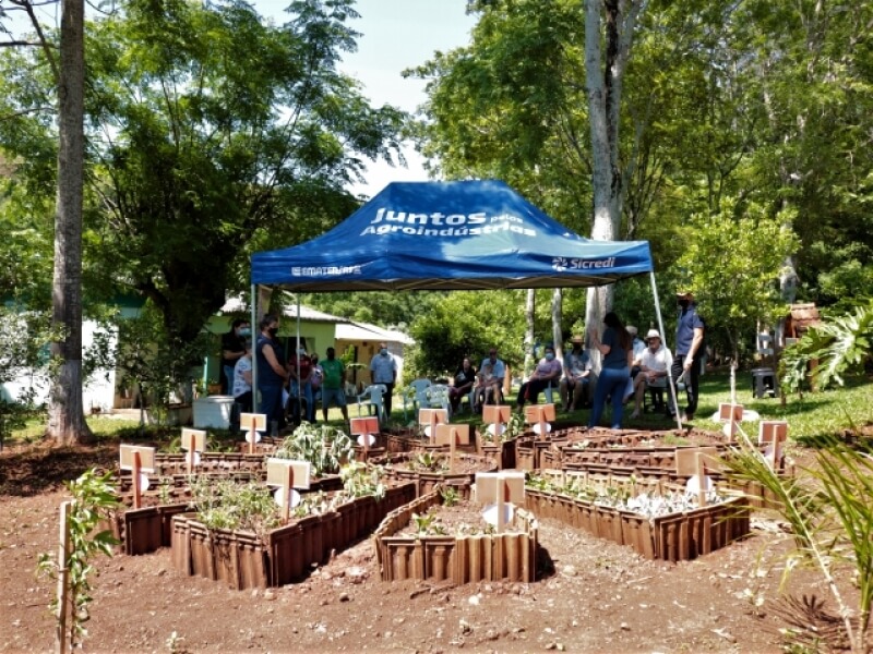DIA DE CAMPO ABORDA SECAGEM E ARMAZENAGEM DE GRÃO E PLANTAS BIOATIVAS