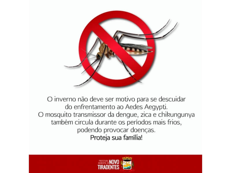 O ENFRENTAMENTO AO MOSQUITO DA DENGUE NÃO PODE PARAR