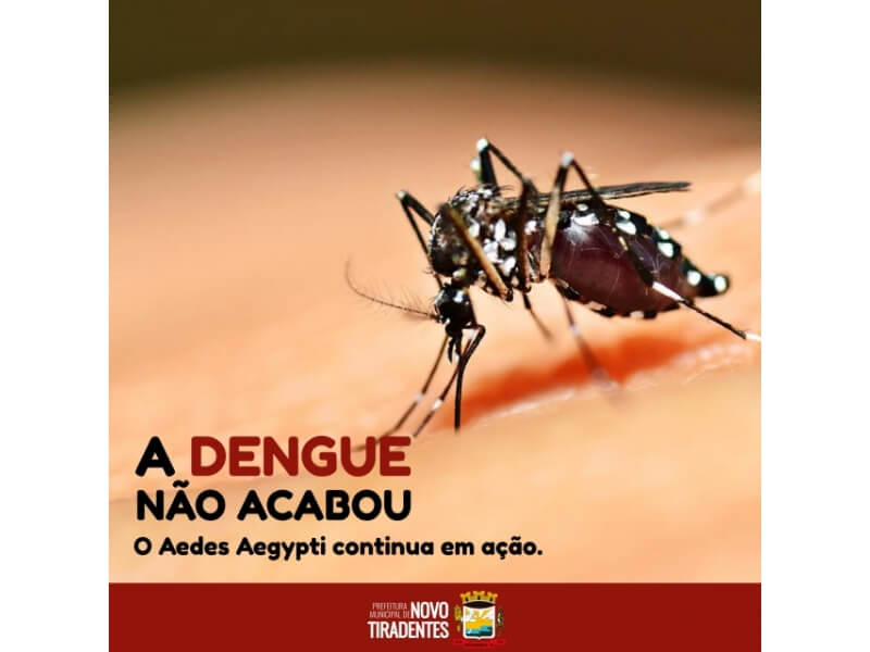 DENGUE: O COMBATE AO MOSQUITO NÃO PODE PARAR  