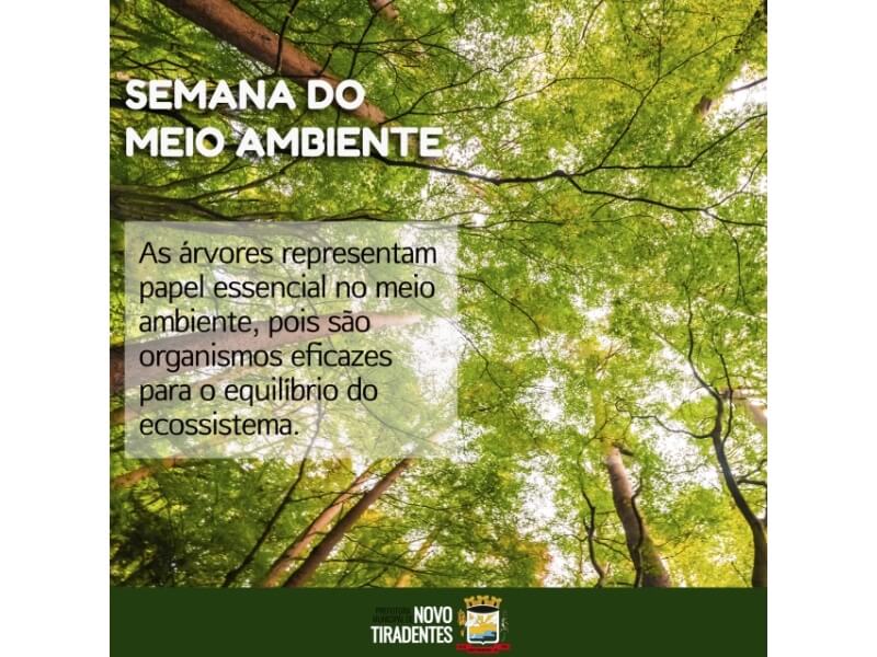 SEMANA DO MEIO AMBIENTE: PRESERVAÇÃO DA VEGETAÇÃO