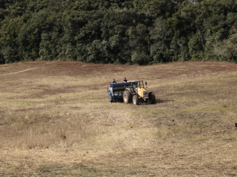 PREFEITURA DE NOVO TIRADENTES AUXILIA PRODUTORES NO PLANTIO DE PASTAGENS DE INVERNO