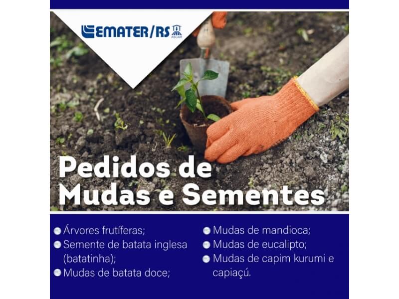 EMATER MUNICIPAL REALIZA PEDIDOS DE MUDAS E SEMENTES