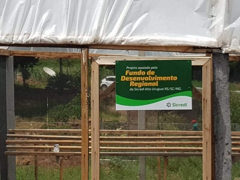 EMEF SÃO LUIS GONZAGA IMPLANTA ESTUFA ESCOLAR COM AJUDA DE RECURSOS DA SICREDI