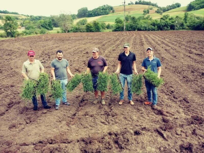 PROGRAMA MUNICIPAL E ASSISTÊNCIA TÉCNICA RESULTAM EM NOVO RECORDE DE PRODUÇÃO LEITEIRA EM 2019