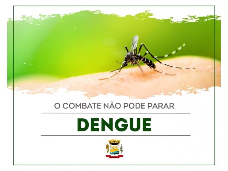 O COMBATE A DENGUE NÃO PODE PARAR