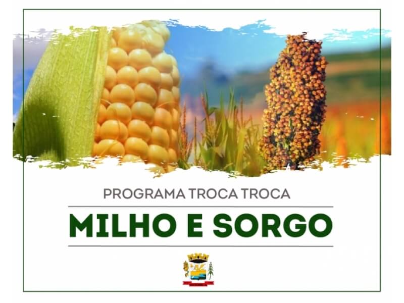 PEDIDOS PARA SEMENTES DE MILHO E SORGO DO PROGRAMA TROCA TROCA INICIAM HOJE