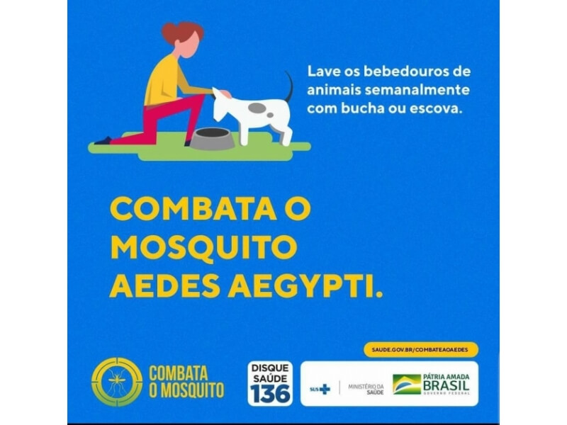 O COMBATE A DENGUE EM CASA NÃO PODE PARAR DIANTE DO CORONAVÍRUS  