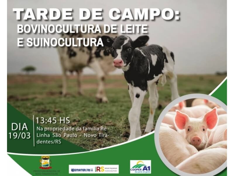 NOVO TIRADENTES TERÁ TARDE DE CAMPO DE BOVINOCULTURA DE LEITE E SUINOCULTURA  