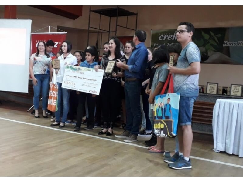 EMEF NOSSA SENHORA APARECIDA DE NOVO TIRADENTES É PREMIADA NO PROJETO LIGADO NAS ESCOLAS DA CRELUZ