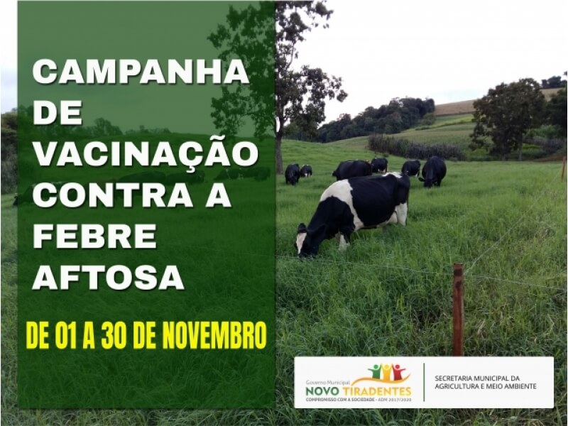 FEBRE AFTOSA: SEGUNDA ETAPA DA VACINAÇÃO ACONTECE NESTE MÊS DE NOVEMBRO