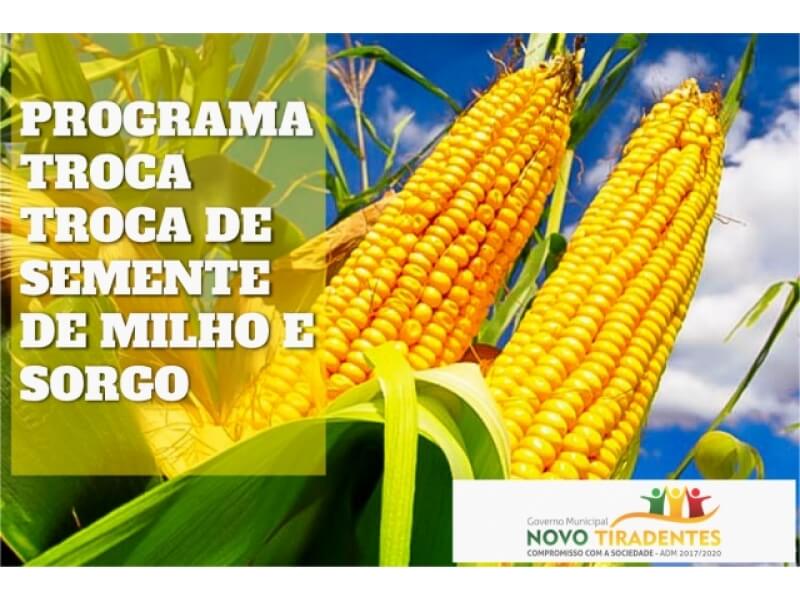 PROGRAMA TROCA TROCA DE SEMENTE DE MILHO E SORGO