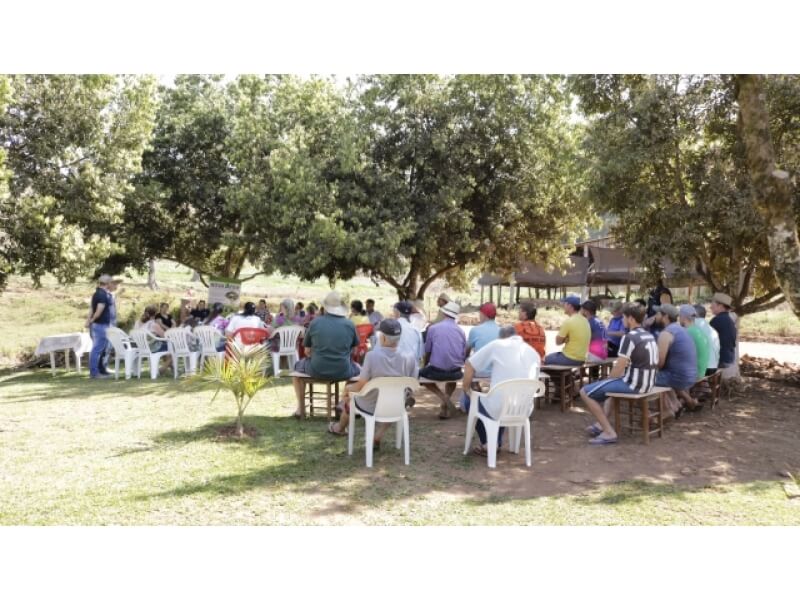 PODAS EM ÁRVORES FRUTÍFERAS É TEMA DE TARDE DE CAMPO EM NOVO TIRADENTES  