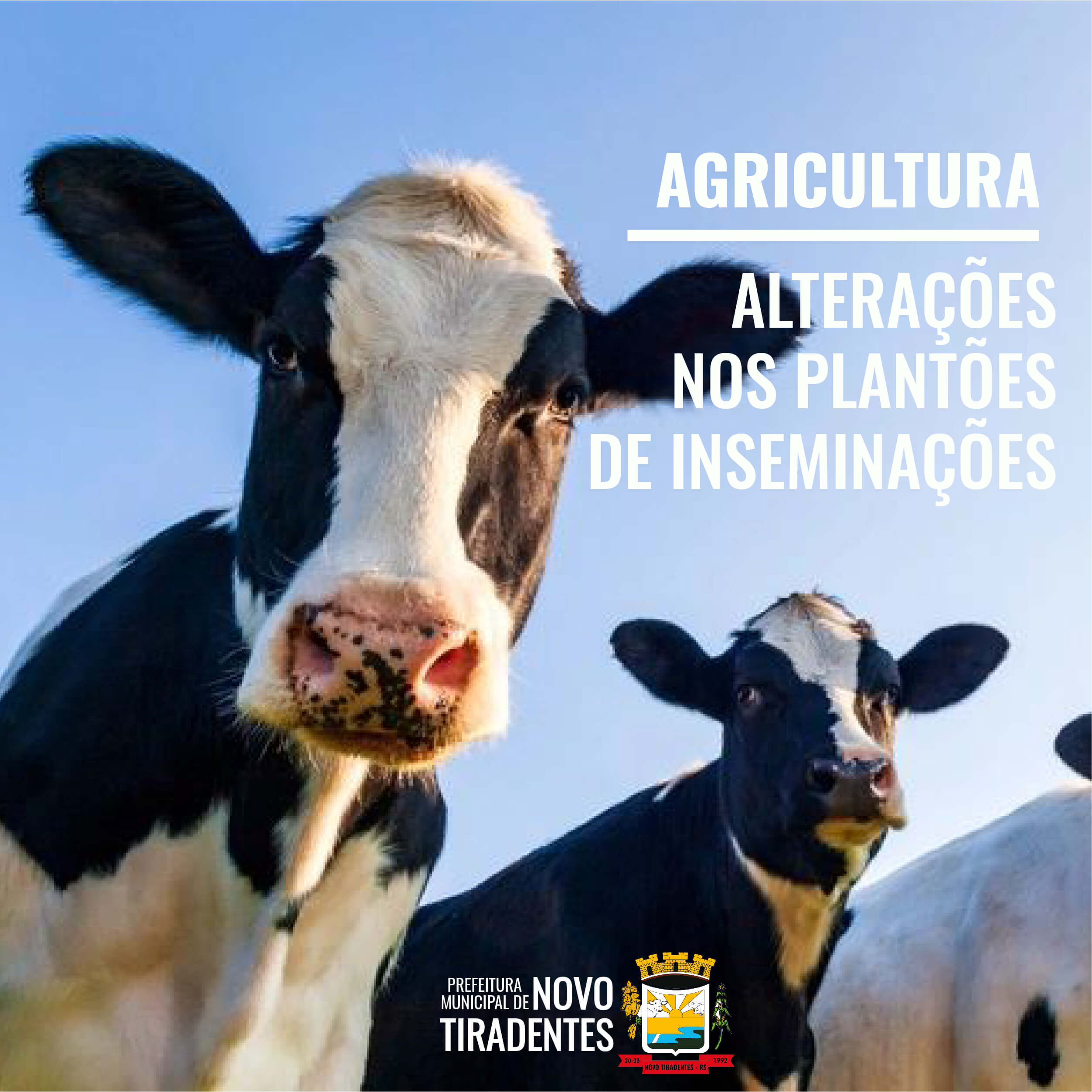 CONFIRA AS ALTERAÇÕES PARA OS PLANTÕES DE INSEMINAÇÃO ARTIFICIAL NAS PROPRIEDADES RURAIS