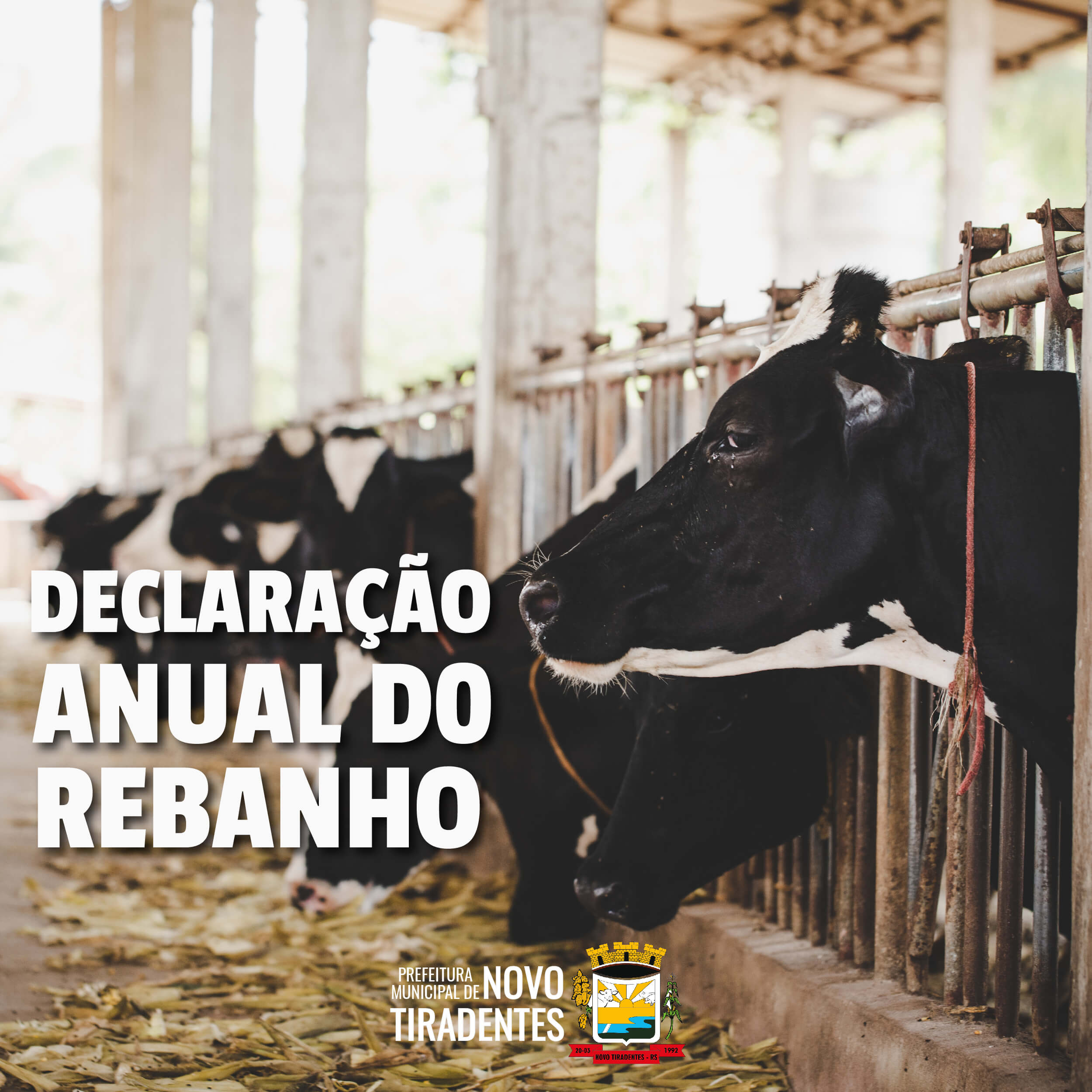 DECLARAÇÃO ANUAL DO REBANHO TERÁ INÍCIO NO DIA 07 DE JUNHO EM NOVO TIRADENTES