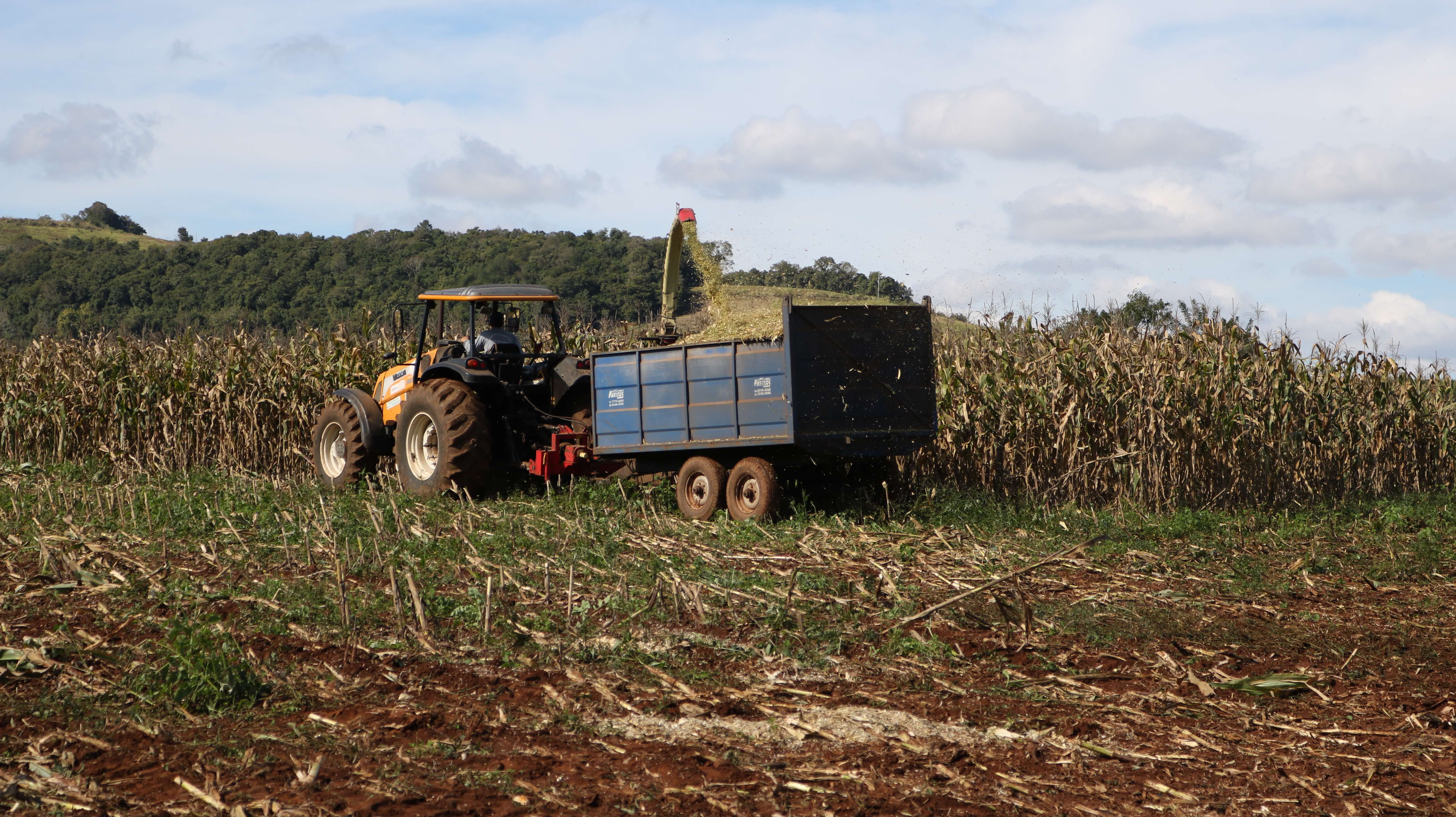 SECRETARIA DE AGRICULTURA AUXILIA PRODUTORES RURAIS NA PRODUÇÃO DE SILAGEM