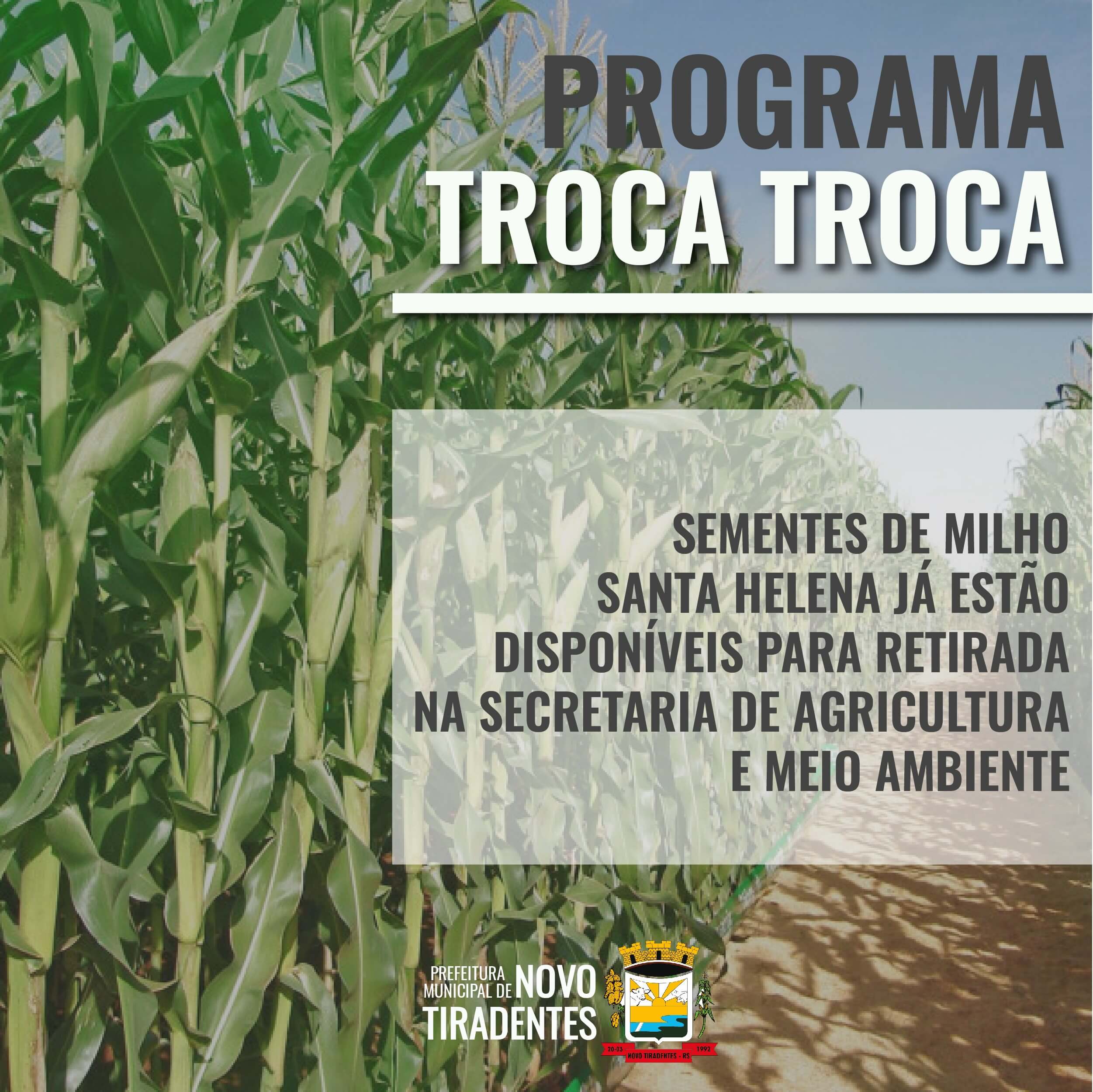 TROCA TROCA: SEMENTES DE MILHO SANTA HELENA JÁ ESTÃO DISPONÍVEIS PARA RETIRADA