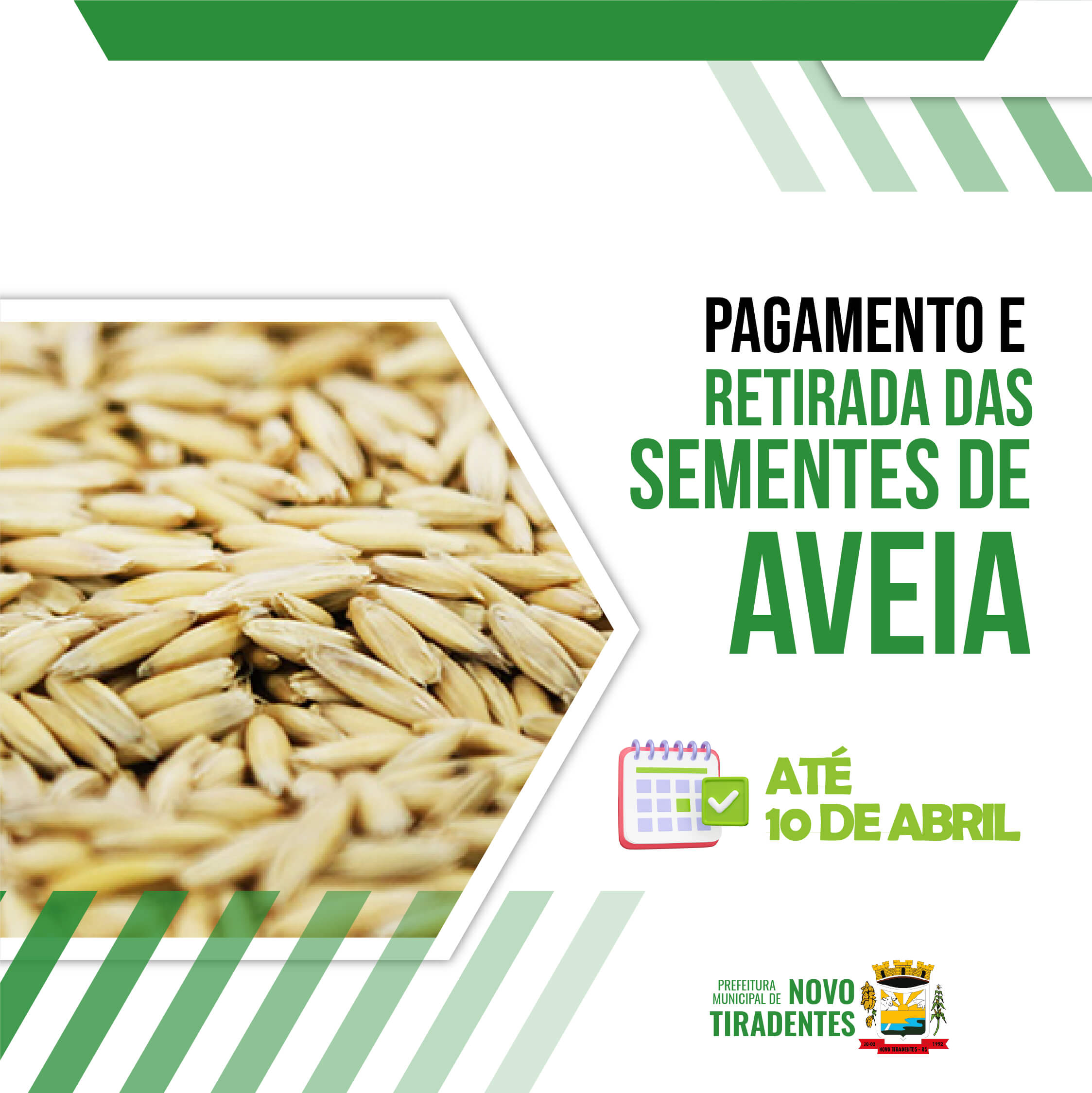 <p><span style="font-size: 14pt;"><strong>AGRICULTORES PODEM REALIZAR PAGAMENTO E RETIRADA DAS SEMENTES DE AVEIA SUBSIDIADAS</strong></span></p>