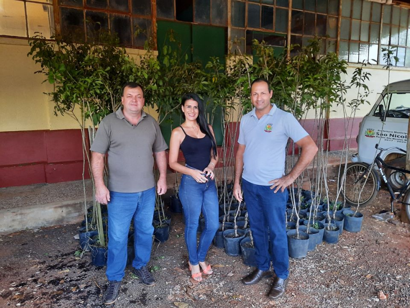 ADMINISTRAÇÃO MUNICIPAL E RGE REALIZAM PROJETO DE ARBORIZAÇÃO+SEGURA