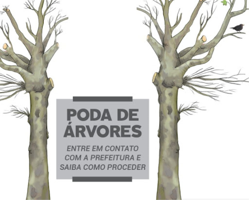 A Secretaria de Agricultura e Meio Ambiente, traz um comunicado sobre podas de árvores.