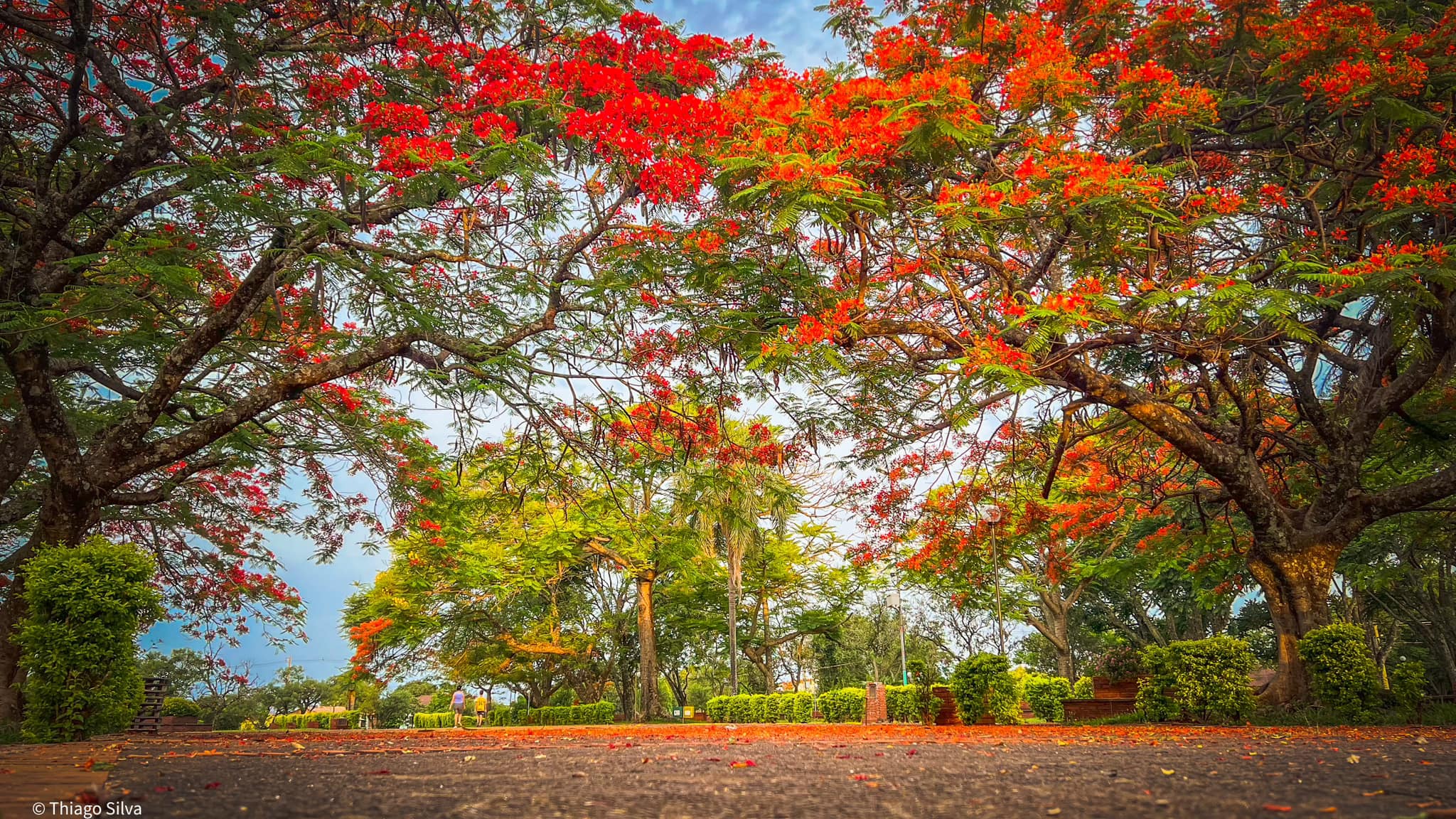 <p>Belezas naturais da Primeira Quer&ecirc;ncia!</p>