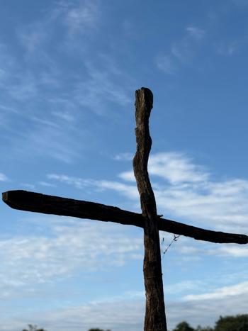 <p>CAVALGADA DA TRILHA DOS SANTOS M&Aacute;RTIRES</p>