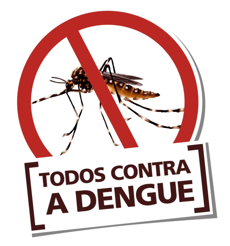 Medidas para evitar criadouros de Aedes aegypti 