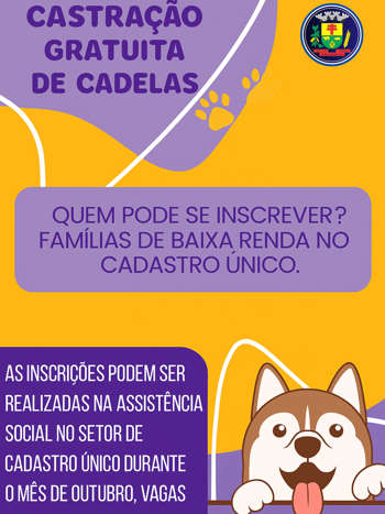 <p><strong data-start="58" data-end="138">Administra&ccedil;&atilde;o Municipal promove castra&ccedil;&atilde;o gratuita de cadelas em S&atilde;o Nicolau</strong></p>