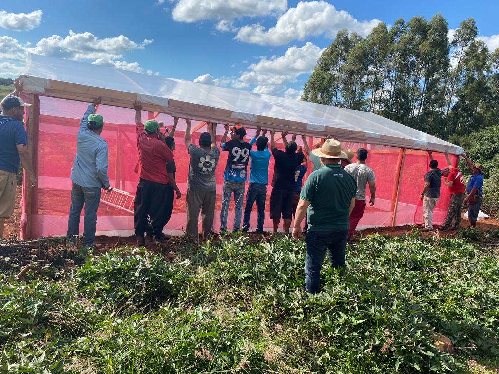 SECRETARIA DE ASSSISTÊNCIA SOCIAL REALIZOU CURSO DE PRODUÇÃO DE HORTALIÇAS EM ESTUFA, ALÉM DA PRÓPRIA CONSTRUÇÃO