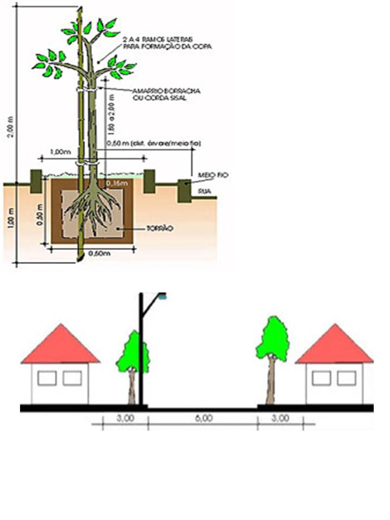 Informações sobre arborização