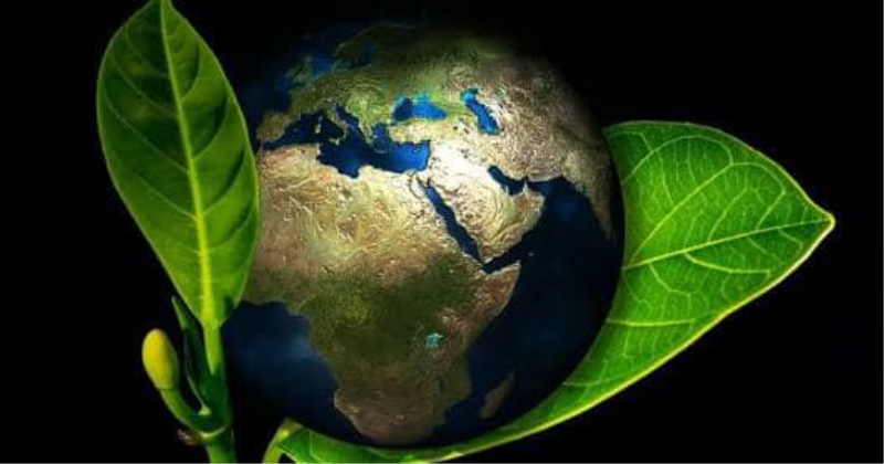 Semana do Meio Ambiente